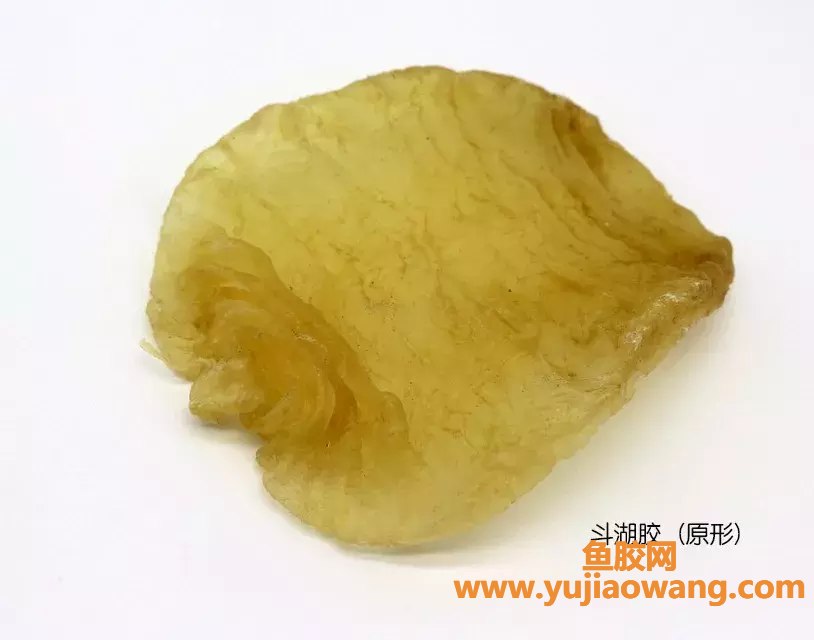 (陈年老斗湖鱼胶的功效)斗湖胶_鱼鳔-普通