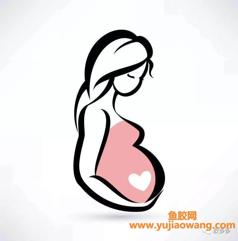 (怀孕两个月可以吃鱼胶吗)怀孕妈妈可以吃鱼胶吗_坐月子如何吃鱼胶-