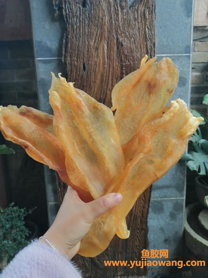 (干鱼胶与花胶区别)大门楼即食花胶_干花胶和即食花胶有什么区别_