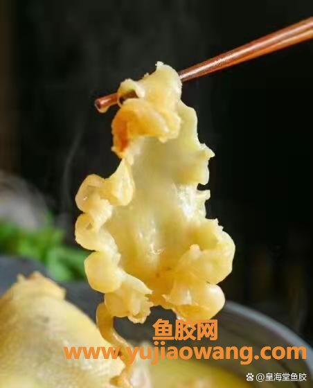 泡花胶(泡花胶用热水还是冷水)