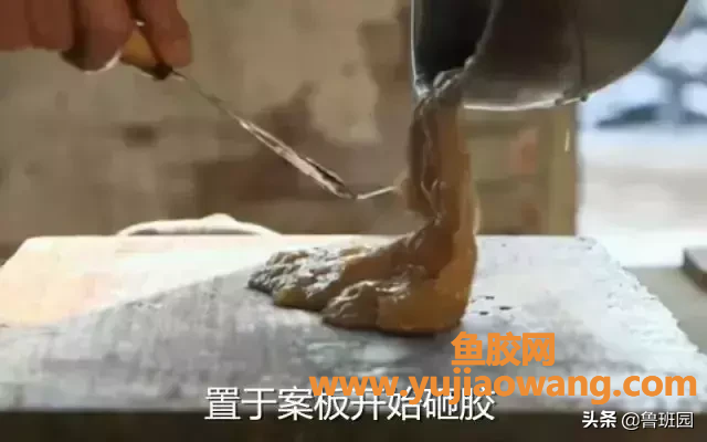 (黄鱼胶能不能治好萎缩性胃炎)【鲁班材料】一种东方的神秘力量，粘合