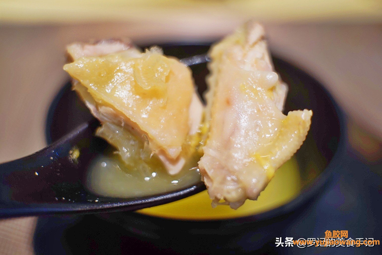 (鱼胶鱼翅煲鸡怎么做好吃)广州番禺南村这个花胶鱼翅鸡煲，让人感到有