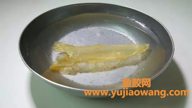 (花旗参石斛鱼胶老鸡汤的功效)【马骁白说】鱼胶_花胶如何泡发才有质