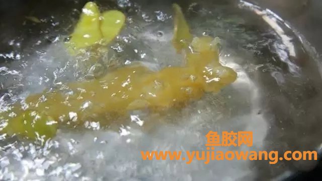 (花旗参石斛鱼胶老鸡汤的功效)【马骁白说】鱼胶_花胶如何泡发才有质