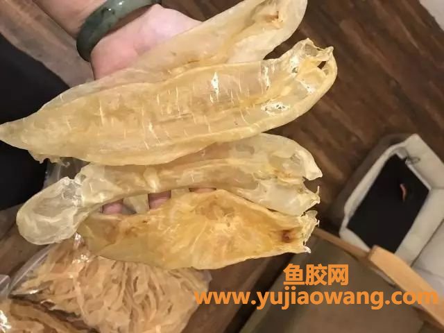 (干鱼胶用凉水泡发还是热水)试试这个方法泡发花胶,可保留90%高级胶原