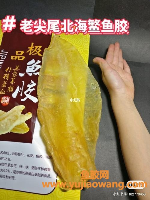 花胶没鱼腥味(花胶有鱼腥味好还是无好)