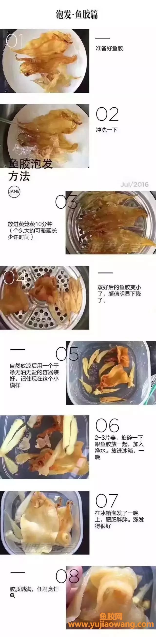 (鱼胶椰子煲鸡汤的功效与作用)不懂泡发鱼胶看过来啦!八个步骤,泡出胶