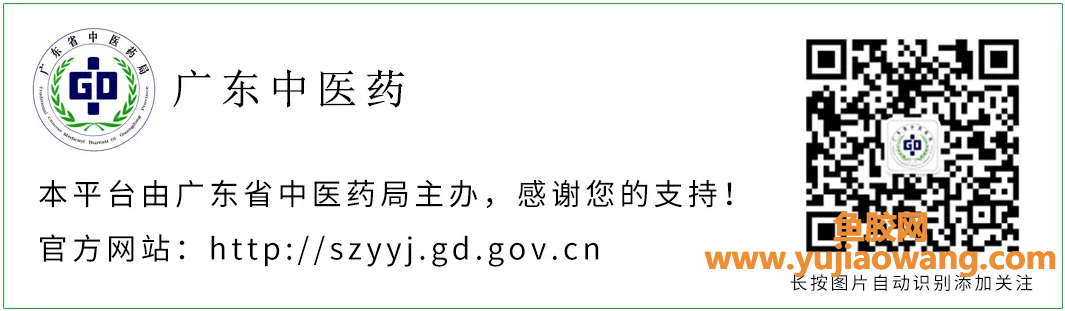 (鱼胶可以治胃炎吗)养胃护胃的花胶,功效、用法、挑选、发泡,看这篇就