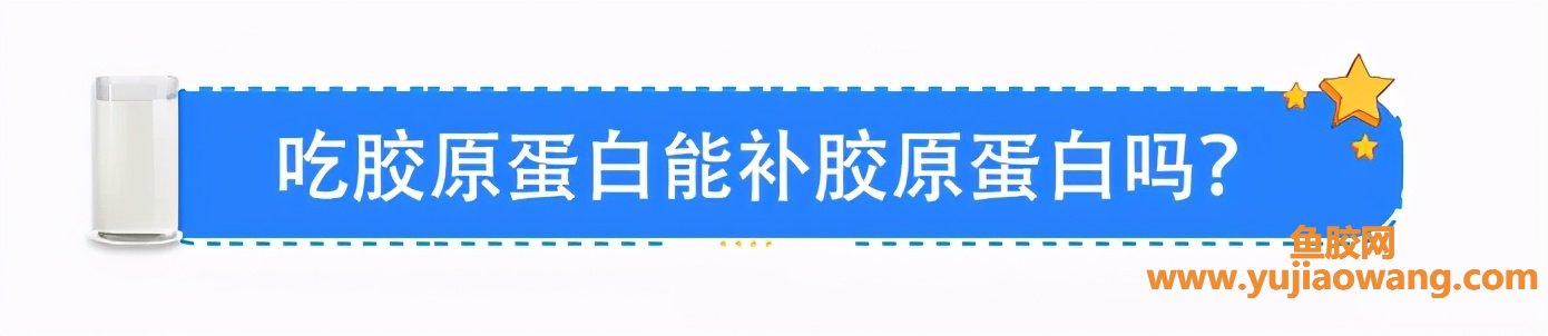 (鱼胶 桃胶 知乎)鱼翅、花胶、桃胶，到底能不能补充胶原蛋白_