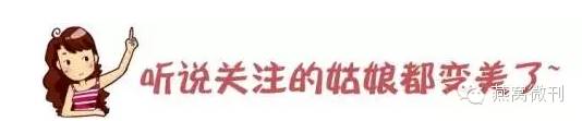 (那些国家有黄唇鱼胶)金钱鳘鱼胶收藏价值有多高