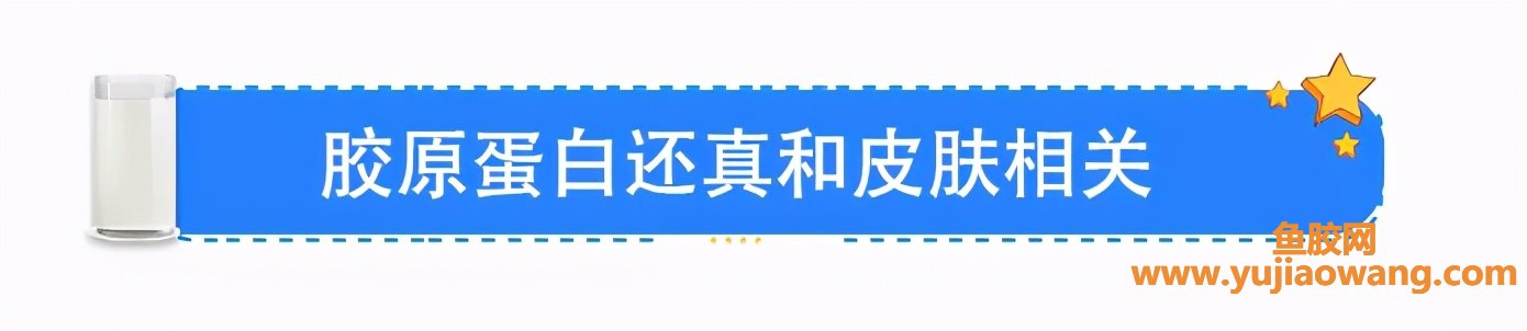 (桃胶和鱼胶的功效与作用)鱼翅、花胶、桃胶，到底能不能补充胶原蛋白