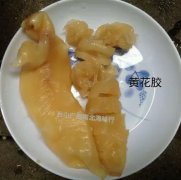 胆固醇高能吃海参和花胶吗 胆固醇高可以吃海参跟花胶吗