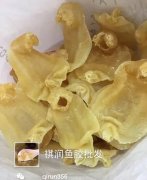 花胶需要长期服用吗 花胶要长期吃才有效