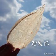 美国有花胶吗 美国花胶好吗