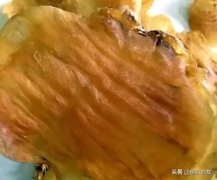 花胶 肺炎 肺炎能吃花胶吗