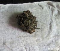 花胶鲫鱼赤小豆 赤小豆花胶汤