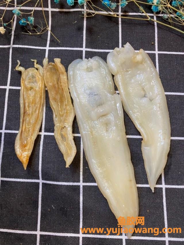 豆仁花胶的功效和作用 豆仁胶有什么功效