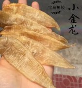 电压锅炖花胶做法 电炖锅炖花胶