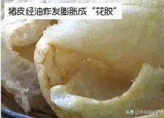 花胶能不能炖鸡 花胶炖鸡怎么炖最好