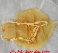 花胶可以炖黑豆作用 黑豆可以炖花胶吗