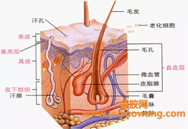 去红血丝的有效方法 怎么去除血丝