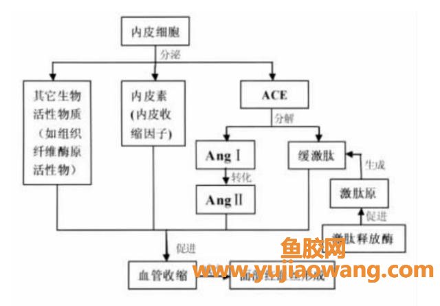 去红血丝的有效方法 怎么去除血丝