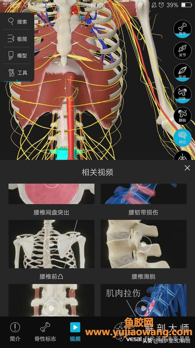 腰椎间盘突出症的症状 腰椎间盘突出的症状有哪些症状