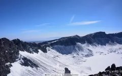 雪莲花治什么病 雪莲花治什么病怎么用