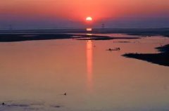 室内空气治理方法 室内空气怎样净化