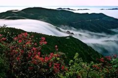 相宜本草控油祛痘 相宜本草控油祛痘洁面膏