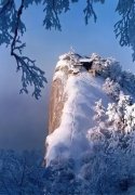 神经衰弱失眠怎么治疗 神经衰弱失眠怎么治疗最好的方法博客