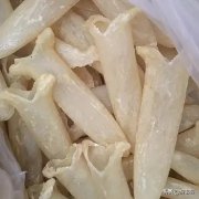 鱼胶怎么炖不会缩小 鱼胶怎么炖不会缩小肉