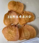 花胶泡发好后放冷冻可以放多久 花胶泡发好后放冷冻可以放多久