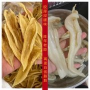 鱼胶粉哪里有得买 鱼胶粉在哪里买