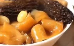 鱼胶属于高蛋白食物吗 鱼胶属于高蛋白食物吗对吗