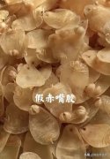 花胶对女性子宫的功效 花胶对子宫的作用的功效与作用