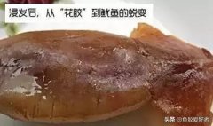 藜麦即食花胶怎么吃 