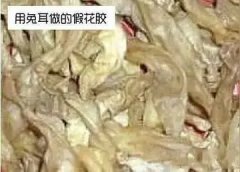 斗湖鱼胶和北海鱼胶哪个好 斗湖鱼胶和北海鱼胶哪个好一点