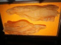 金兰赤嘴鱼胶的产地哪里的 赤嘴鱼胶品种
