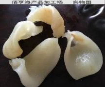 什么鱼胶最好功效 