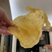 花胶泡好后放冰箱里冷藏可以吗 花胶泡好后放冰箱里冷藏可以吗