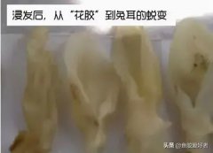 鱼胶对子宫内膜有好处吗 鱼胶对子宫内膜有好处吗视频