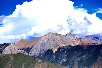 黑苦荞茶产地 黑苦荞茶产地哪个最好