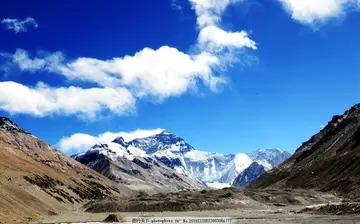 苹果醋可以空腹喝吗 苹果加白醋能减肥吗