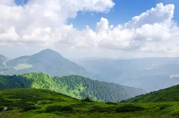 重阳节 吃什么 重阳节吃什么糕点