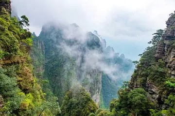 氨苄青霉素的作用 青霉素和庆大霉素能一起用吗