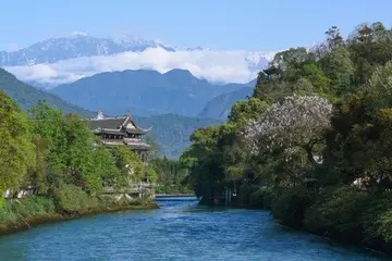 芒果冰激凌的做法 芒果冰激凌的做法视频教程