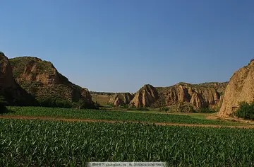 油泡鲜虾仁 油泡鲜虾仁是粤菜吗